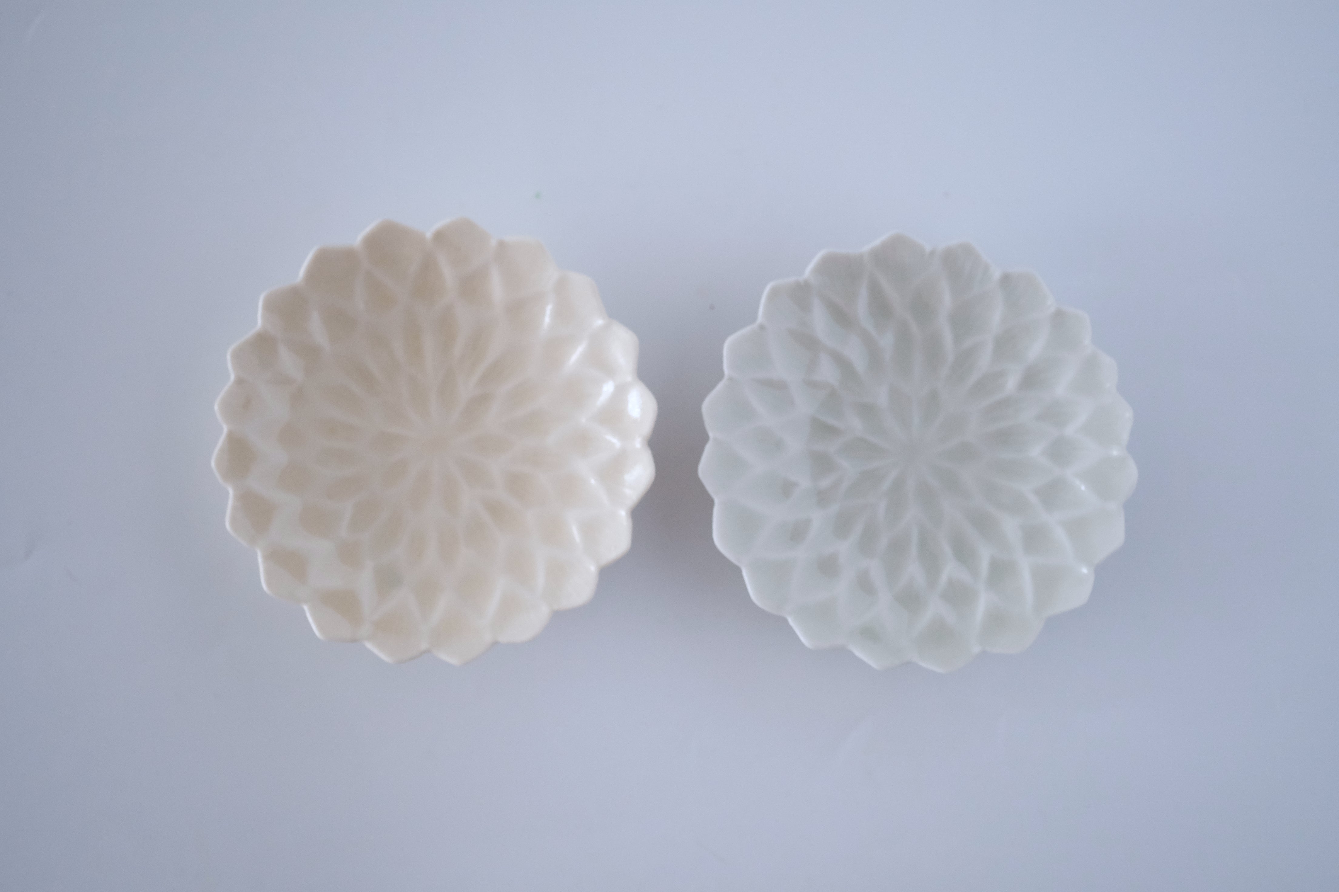 Botanical Series – JIUCASCA ONLINE STORE
