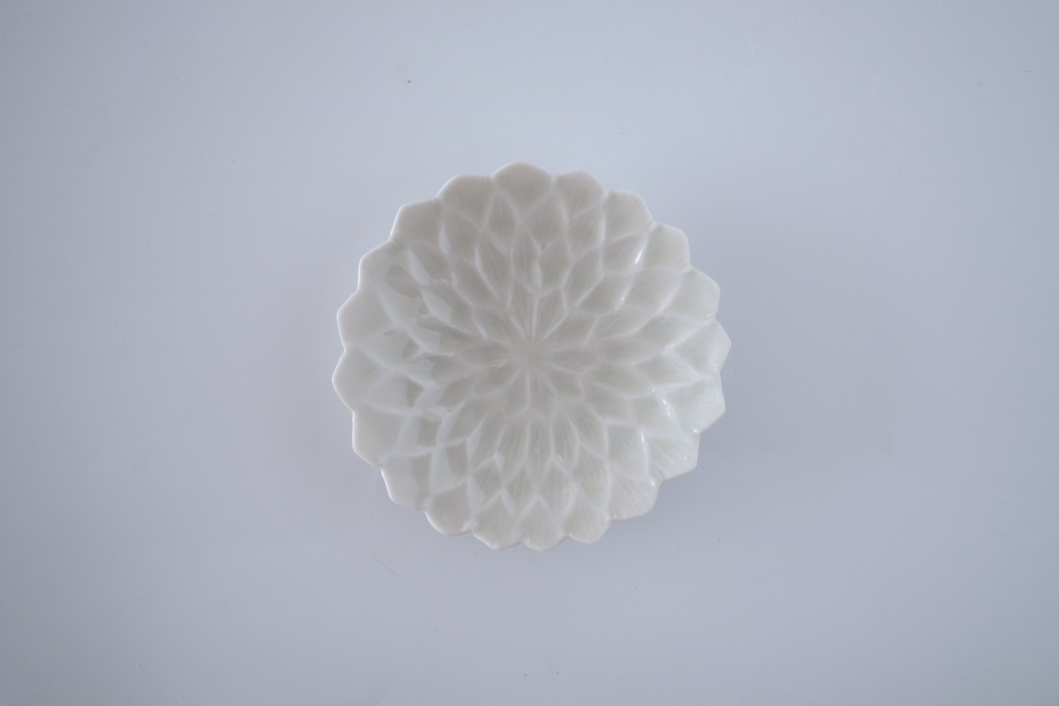 Botanical Series – JIUCASCA ONLINE STORE