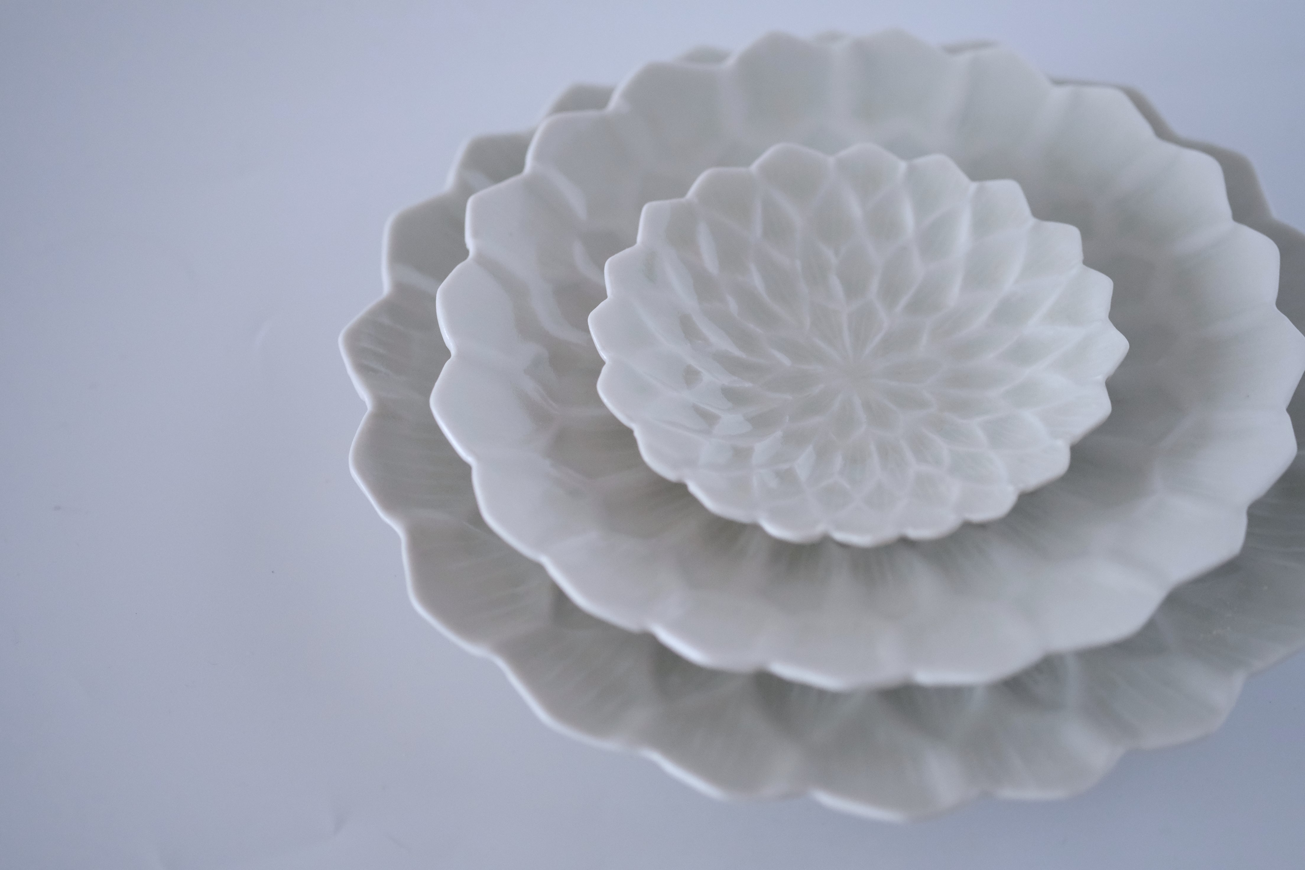 Botanical Series – JIUCASCA ONLINE STORE