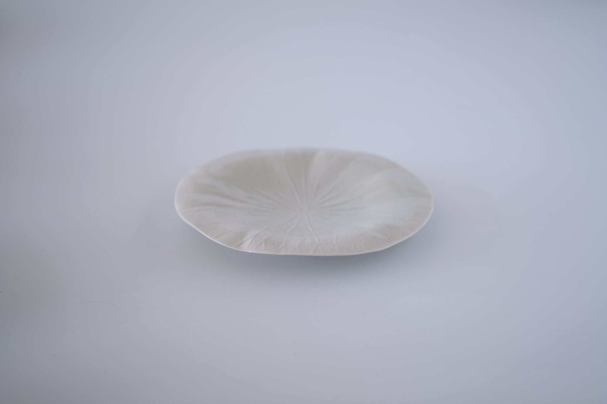 灰青釉蓮の葉六寸皿