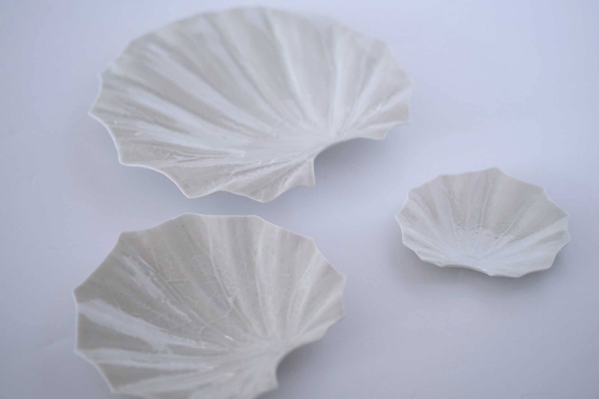 灰青釉石蕗六寸皿