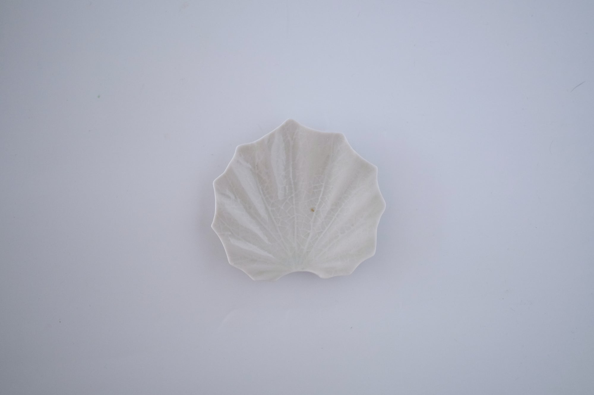 灰青釉石蕗豆皿