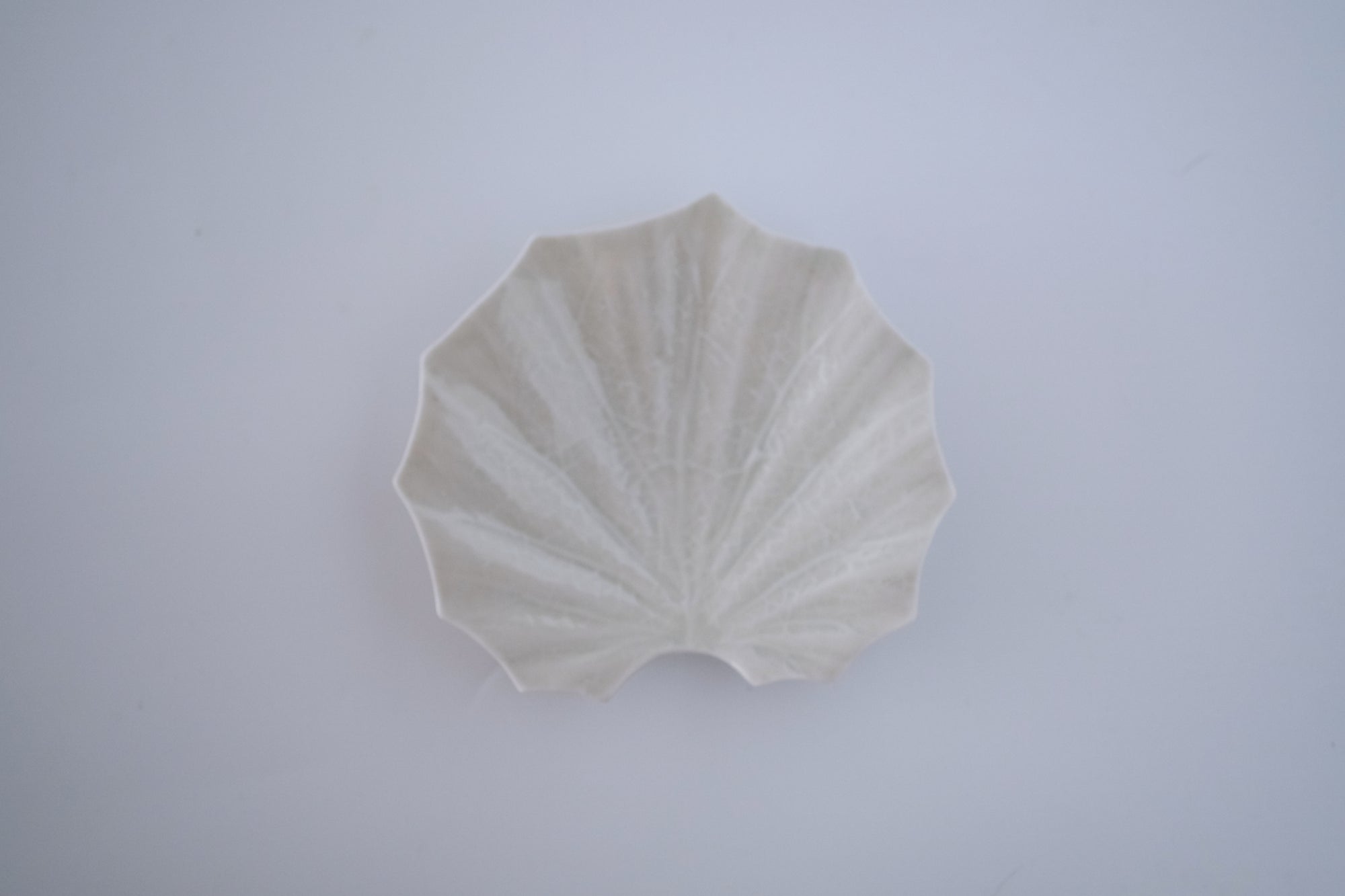 灰青釉石蕗四寸皿