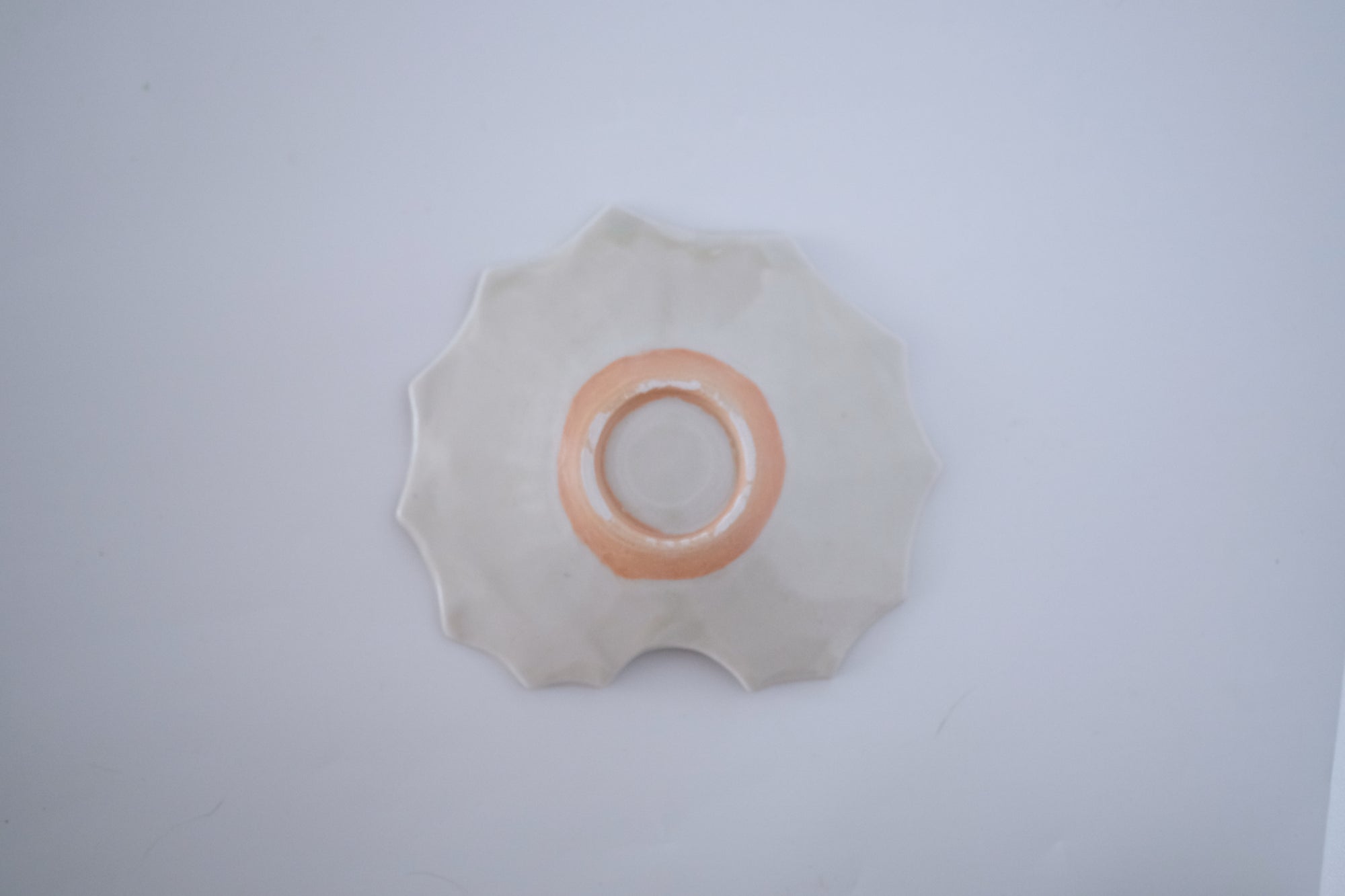 灰青釉石蕗四寸皿