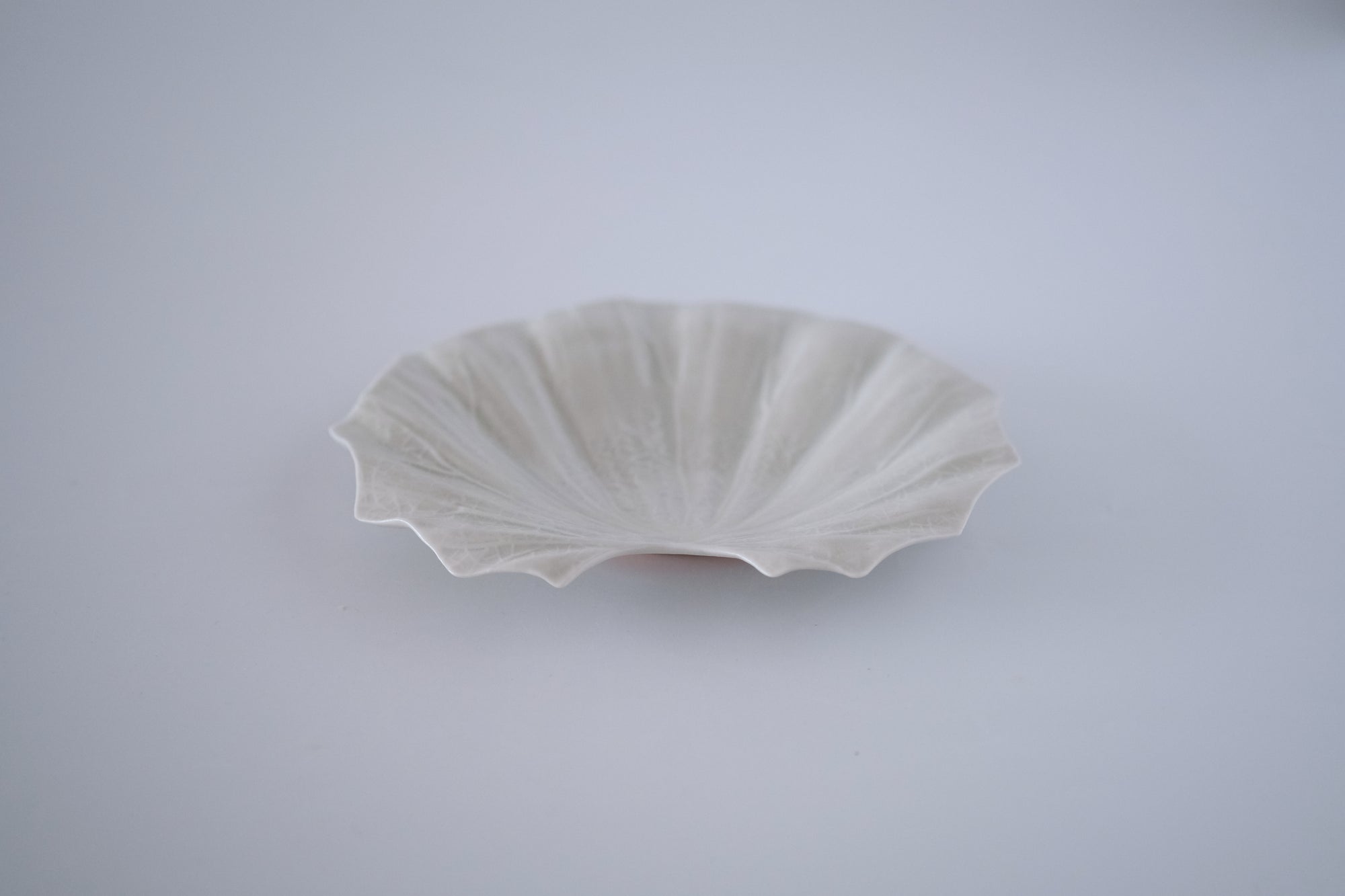 灰青釉石蕗六寸皿