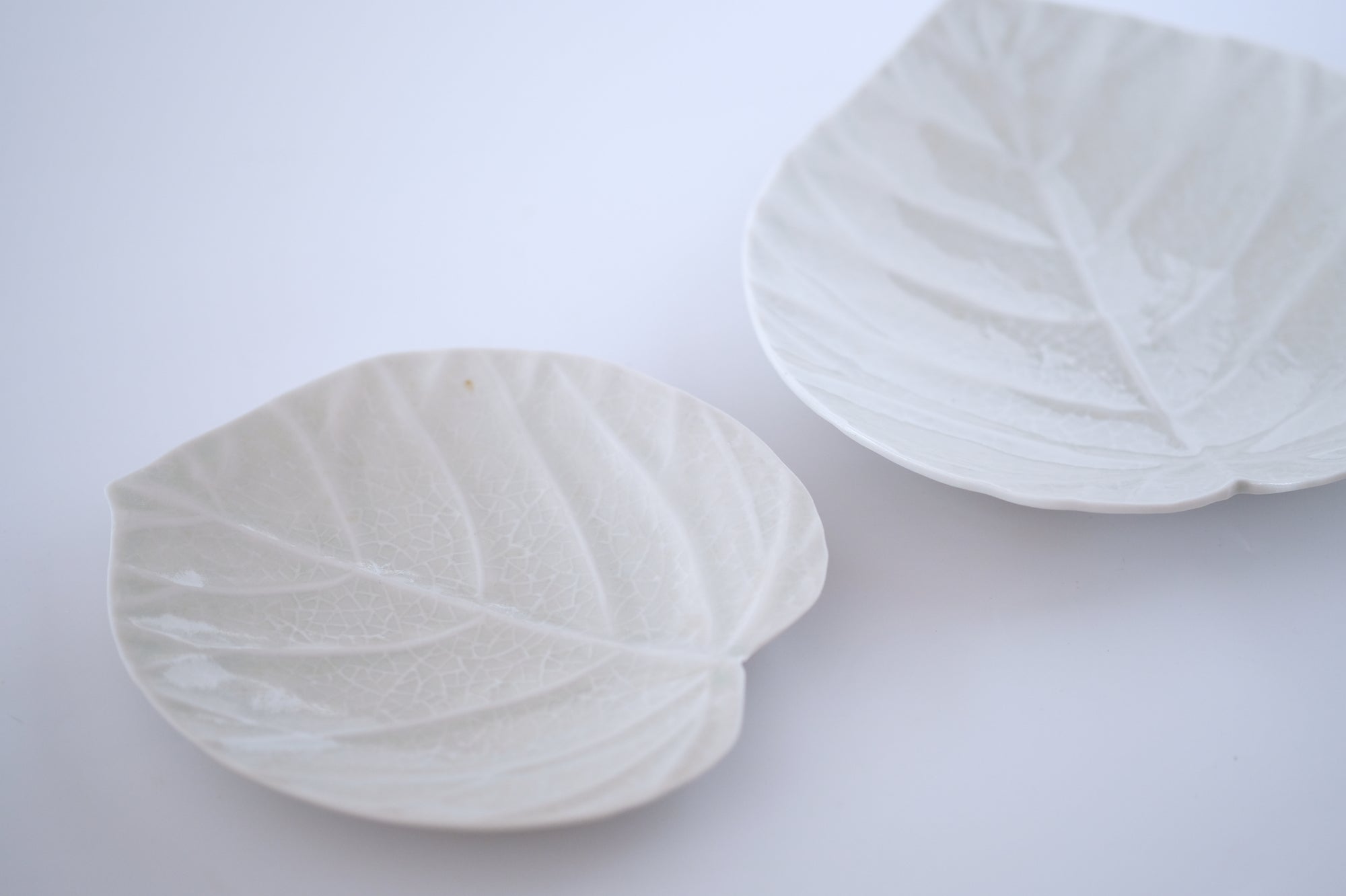 灰青釉ウンベラータ五寸皿