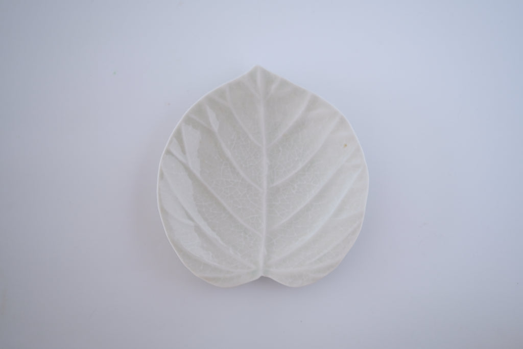 灰青釉ウンベラータ五寸皿