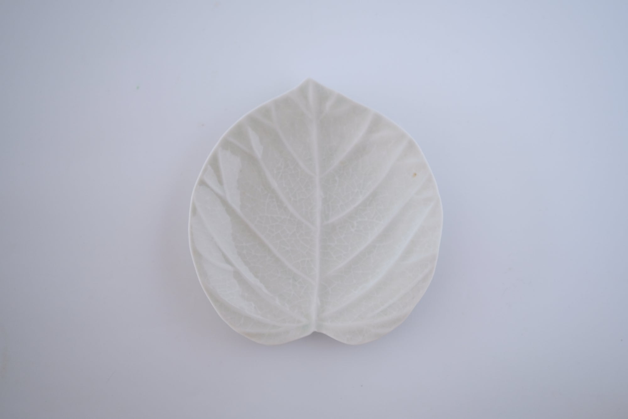 灰青釉ウンベラータ五寸皿