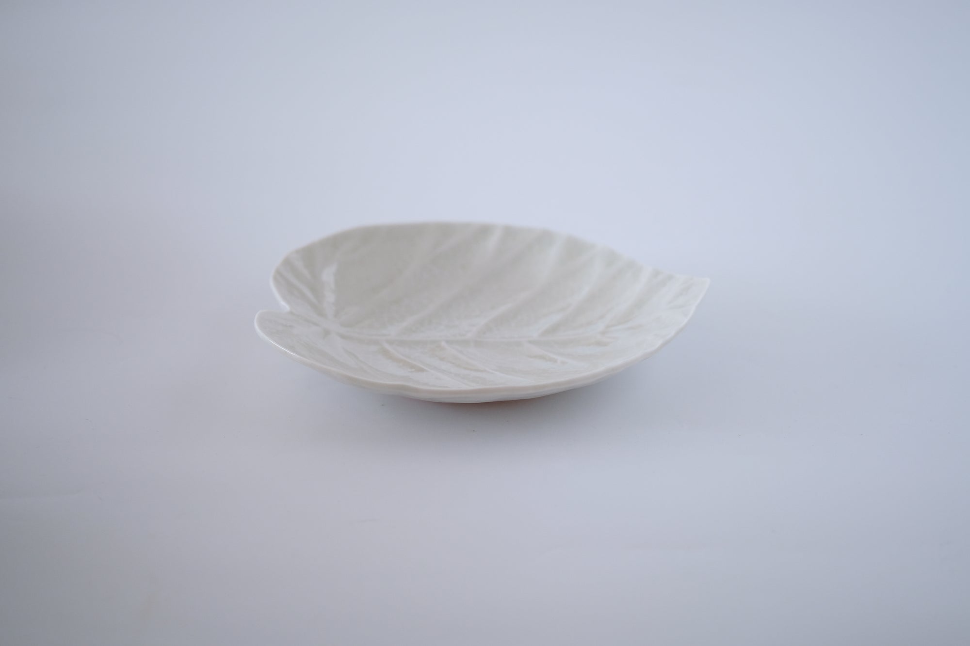 灰青釉ウンベラータ六寸皿